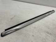 Türverkleidung rechts hinten Mercedes-Benz R-Klasse (W251) 1690205280