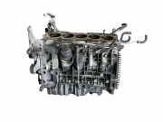 Motorblock Volvo XC70 II (136) D5244T4