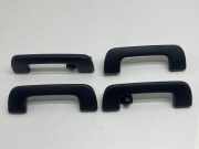 Dachgriffset (innen) AUDI Q3 (F3) 40 TFSI quattro 80A857607