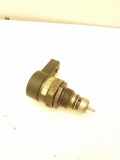 Kraftstoffdruckregler BMW 7 (E65, E66, E67) 740 d 0281002481