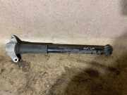 Stoßdämpfer hinten rechts JAGUAR I-PACE (X590) EV400 AWD 06031251