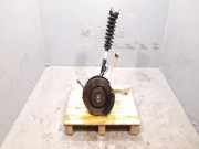 Radnaben vorne links MERCEDES-BENZ GLE (W166) 250 d 4-matic (166.004) 1663303300 1663232400