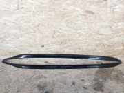 Dachreling links BMW X5 (E70)