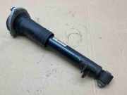 Stoßdämpfer rechts hinten BMW X5 (E70) 14941510