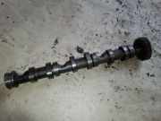 Ansaugkrümmer Audi A6 (4F, C6)