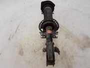 Stoßdämpfer vorne rechts MERCEDES-BENZ CITAN Combi (415) 111 CDI (415.603, 415.605) 543028650R