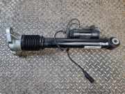 Stoßdämpfer hinten links MERCEDES-BENZ GLS (X167) 350 d 4-matic (167.921) A1673200402