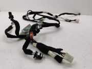 SONSTIGE KABELBÄUME RENAULT CLIO V (B7_) 1.3 TCe 130 (B7MF) 241602245R