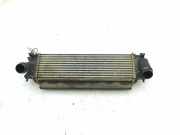 Ladeluftkühler NISSAN NP300 NAVARA Pick-up (D23) 2.3 dCi 4x4 (D231) EH940003 144614JA0B