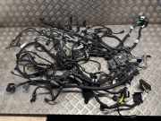 Motor Kabelbaum BMW X5 (G05) xDrive 30 d Mild-Hydrid 9887450