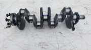Kurbelwelle RENAULT CLIO II (BB0/1/2_, CB0/1/2_) 1.5 dCi (B/CB08) 0391 8200416793