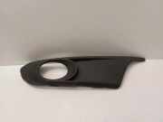 Nebelscheinwerferverkleidung