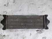 Ladeluftkühler Ford Transit V363 Kasten (FCD, FDD) CC119L440AF