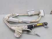 Dach SRS rechts RENAULT MEGANE II Estate (KM0/1_) 1.9 dCi 6017760