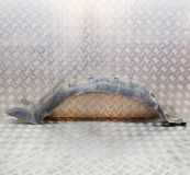 Innenkotflügel vorne rechts LAND ROVER DISCOVERY II (L318) 2.5 Td5 4x4 N/A