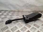 Türanschlag hinten links