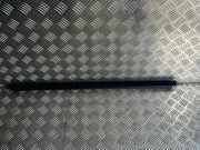 Türgummi links vorne Peugeot 308 II ()