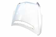 Motorhaube Mercedes-Benz R-Klasse (W251) 000110000001011