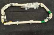 Airbag Dach links Ford C-Max II (DXA) 610762101