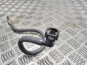 Kraftstoffschlauch Ford Focus IV (HN)