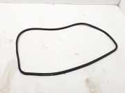 Türdichtung BMW 5er (F10) 7260916