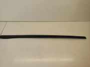 Zierleiste Windschutzscheibe Frontscheibe MERCEDES-BENZ R (W251, V251) R 320 CDI 4-matic (251.022, 251.122) A2516905062