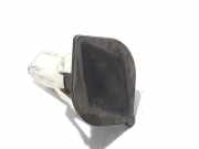 Heckklappenöffnungstaste RENAULT SCÉNIC II (JM0/1_) 1.9 dCi (JM0G, JM12, JM1G, JM2C) 8200110098