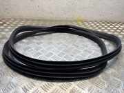 Türgummi rechts hinten Ford EcoSport ()