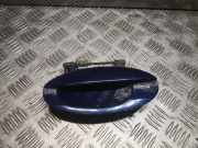 Türaußengriff hinten links