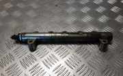 Einspritzleiste Chevrolet Captiva (C100, C140) 0445214174