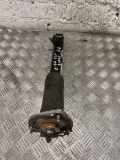 Stoßdämpfer links hinten BMW X5 (E70) 6788770