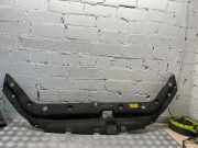Andere Verkleidungsteile TOYOTA RAV 4 III (_A3_) 2.2 D 4WD (ALA30_) 5328942010