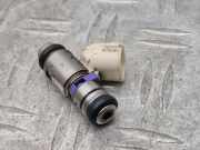 Düsenstöcke VW Polo V (6R, 6C) 036031AH