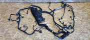 Motor Kabelbaum JAGUAR XF SPORTBRAKE (X250) 5.0 XFR-S DX2Q9H589AB