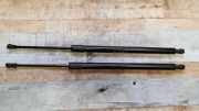 Heckklappe Gasdruckfeder links RENAULT MODUS / GRAND MODUS (F/JP0_) 1.5 dCi (FP0G, JP0G) 8200219322
