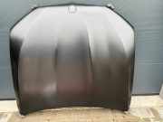 Motorhaube BMW 5er (G30, F90)