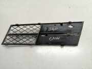 Kühlergrill unten BMW 5er (F10) 51117200700