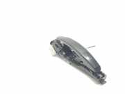 Türaußengriff hinten links