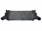 Ladeluftkühler MERCEDES-BENZ GL (X164) GL 320 CDI 4-matic (164.822) A2515000000