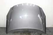 Motorhaube Opel Insignia A (G09) H05