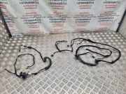 Kabelbaum Audi A2 (8Z) 8Z1970207N