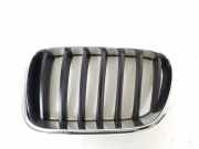 Kühlergrill oben BMW X3 (F25) 51117237421