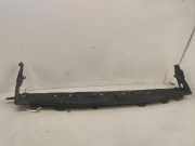 Hitzeschutz RENAULT MEGANE III Hatchback (BZ0_) 1.9 dCi (BZ0N, BZ0J) 668100004R