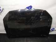 Motorhaube VW POLO (6R, 6C) 1.2