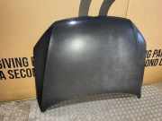 Motorhaube VW PASSAT B7 ALLTRACK (365) 2.0 TDI
