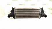 Ladeluftkühler MERCEDES-BENZ R (W251, V251) R 320 CDI 4-matic (251.022, 251.122) 1645001900