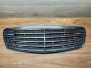 Gitter MERCEDES-BENZ E (W211) E 270 CDI (211.016) A2118800383