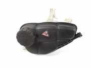 Ausgleichsbehälter MERCEDES-BENZ SLK (R172) 250 CDI / d (172.403) A1725000249