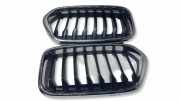Gitter Grill vorne links BMW X2 (F39) X2 sDrive18d 7424777B