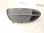 Gitter Grill vorne links MERCEDES-BENZ E (W212) E 250 CDI / BlueTEC 4-matic (212.082, 212.097) 2128851922